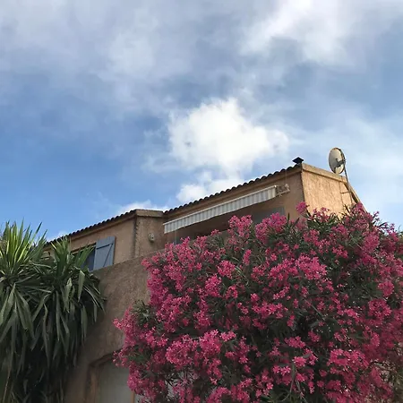 Appartement Calvi A Moresca Exterior foto